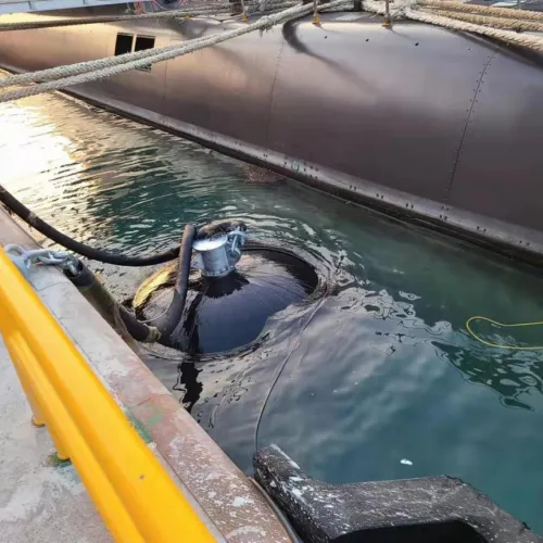 info-500-500 info-500-500